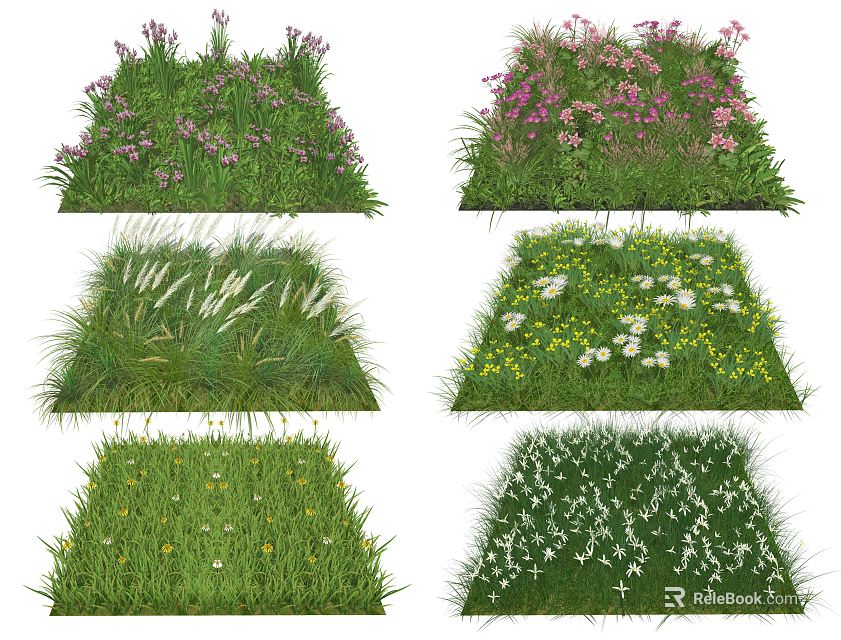 Various Ground Cover Plant Varieties With Colorful Flowers And Lush Green Foliage 3d model 