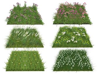 Modern shrubs Plant cover Flowers and grass bushes 3d model