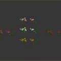 Colorful Flowering Plants With Green Leaves Arranged Neatly On Gray Background With Reflections