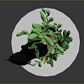 Cute Black Cat In Flower Pot With Green Plants Yellow Flowers And White Base