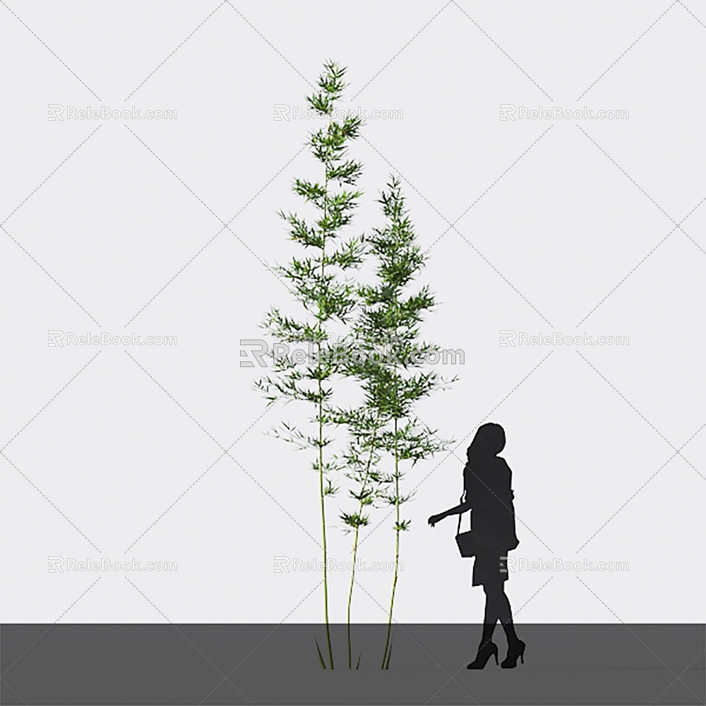 Modern bamboo mom bamboo cixiaozhu hard-headed yellow bamboo 3d model