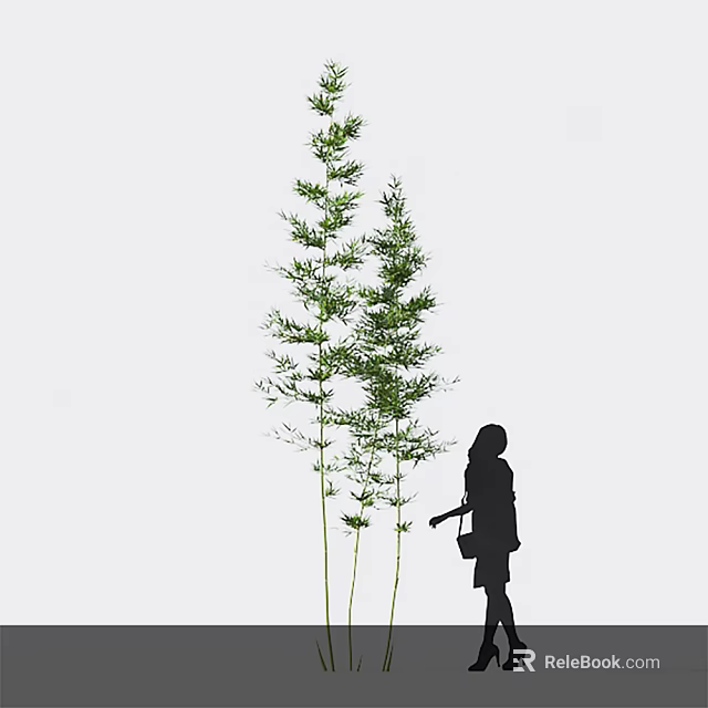 Bamboo Plants With A Silhouette Of A Person In Light Background 3d model 