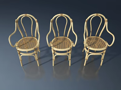 Three Stylish Rattan Pet Cabinets For Indoor Home Furniture Decoration 3d model