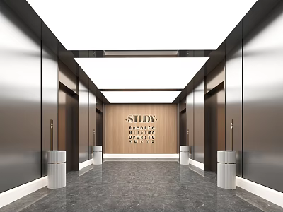 Modern Elevator Lobby Interior With Marble Flooring And Ceiling Lights 3d model