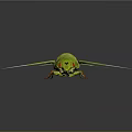 Modern cicada shell golden cicada 3d model