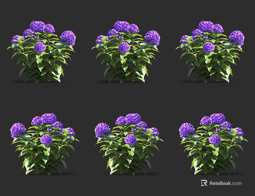 Blooming Purple Flowers With Lush Green Leaves In Multiple Plant Groups 3d model 
