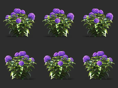 Blooming Purple Flowers With Lush Green Leaves In Multiple Plant Groups 3d model