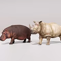 Realistic Hippopotamus And Rhinoceros Figurines Standing Side By Side On White