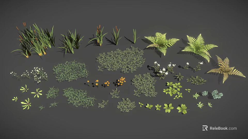 Various Types of Plants Including Grass Ferns Small Shrubs White Flowers and Orange Fruits 3d model 