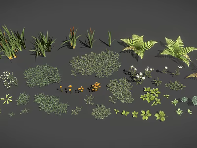 Various Types of Plants Including Grass Ferns Small Shrubs White Flowers and Orange Fruits 3d model