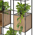 Elegant Bonsai Potted Plants Displayed On Multi Tiered Wooden Metal Shelves With Green Leaves