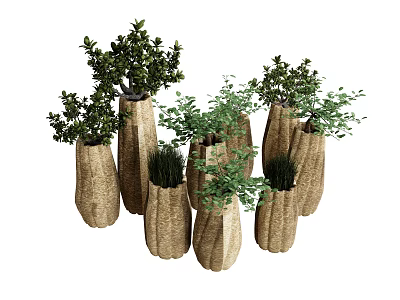 Bonsai Potted Plants With Various Unique Shaped Pots And Lush Green Foliage 3d model