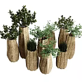 Bonsai Potted Plants With Various Unique Shaped Pots And Lush Green Foliage