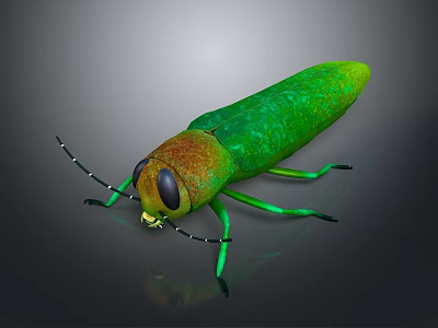 Realistic Green Insect 3D Model Featuring Orange Body Large Eyes Antennae And Long Legs 3d model