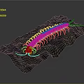 Detailed Pink Centipede With Yellow Legs On Green Rocks Surface