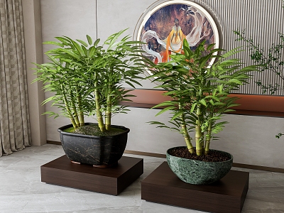 potted bamboo combination 3d model