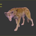 Realistic Wolf Animal Figure With Yellow Fur Standing On Dark Reflective Surface