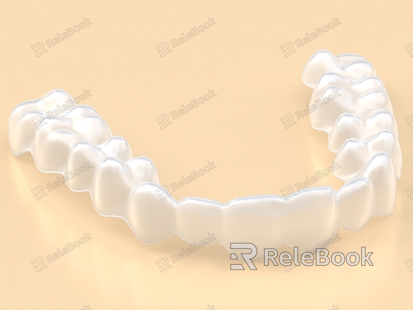 Braces Denture Teeth Appliance model