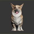 Realistic Corgi Statue With Tongue Out Standing On Reflective Black Surface