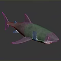 Gray Shark 3D Model With Open Mouth Fins On Dark Background Reflection