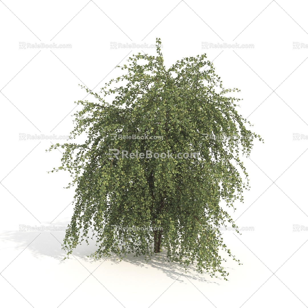 Plant Shrub Large Shrub 3d model