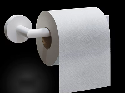 White Wall Mounted Toilet Paper Holder With Wavy Pattern Roll 3d model
