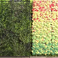 Decorative Green Plant Wall with Colorful Leaves and Grid Background Design for Decor