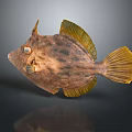 Unique Brown Spotted Fish With Yellow Fins And Large Eyes Against Dark Reflective Surface