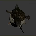Realistic 3D Penguin Model With Detailed Texture Standing Pose And Studio Lighting