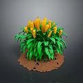 Home Decor Corn Plant with Yellow Cobs Green Leaves on Soil Base