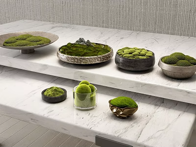 Decorative Ornament Set With Green Moss In Various Bowls On White Marble Surface 3d model