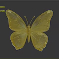 Blue Crystal Butterfly With Transparent Shiny Wings And Reflection On Dark Background