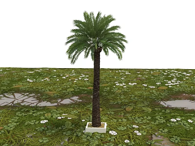 Tree 3d model Tree 3d model