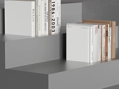 White And Brown Books Magazines Neatly Arranged On Gray Stepped Shelves 3d model