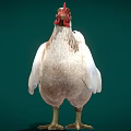 Game Movie Character White Chicken With Red Comb And Green Background
