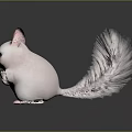 Cute White Chinchilla with Pink Ears Fluffy Tail Standing on Dark Background