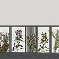 Colorful Climbing Vines With Flowers On White Slatted Vertical Wall Under Blue Sky