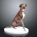 Sitting Dog With Pink Collar And Tag On White Circular Base Against Grey Background