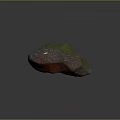 Natural Decorative Stone With Green Moss Gray Red Color And Surface Texture