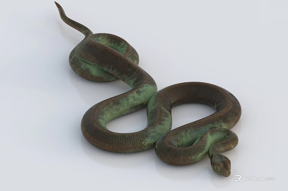 Large Green And Brown Reptile Snake With Coiled Body And Shiny Scales On White Background 3d model 