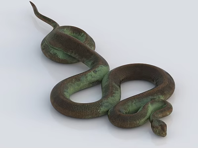 Large Green And Brown Reptile Snake With Coiled Body And Shiny Scales On White Background 3d model