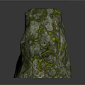 Green Moss Covered Curved Stone Wall With Irregular Stones Arrangement And Reflection