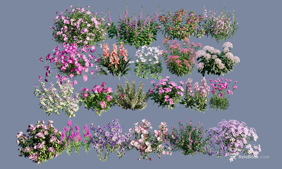 Colorful Garden Flowers And Plants With Various Petal Shapes And Colors 3d model 