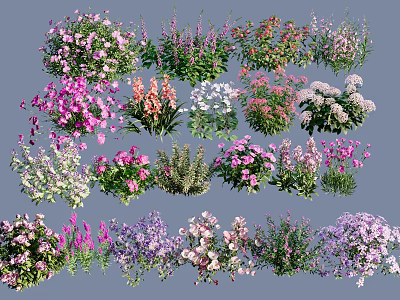 Colorful Garden Flowers And Plants With Various Petal Shapes And Colors 3d model