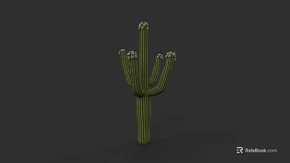 Plant Painting Of Green Branched Cactus With White Blooms On Dark Background 3d model 