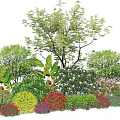 Colorful Flowering Shrubs in Diverse Garden Landscaping With Green Foliage and Blooms