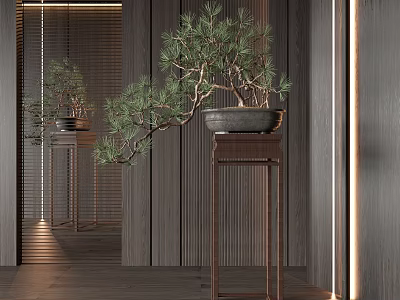 Modern Minimalist Interior Bonsai Plant With Pine Tree Ceramic Pot And Wooden Stand 3d model