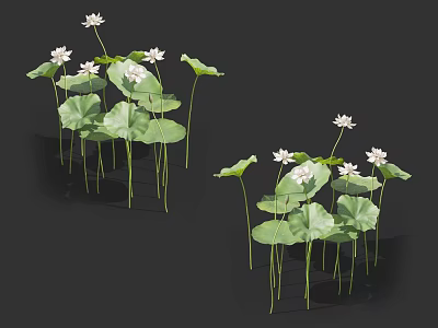 Beautiful White Lotus Flowers with Fresh Green Lily Pads and Long Stems 3d model