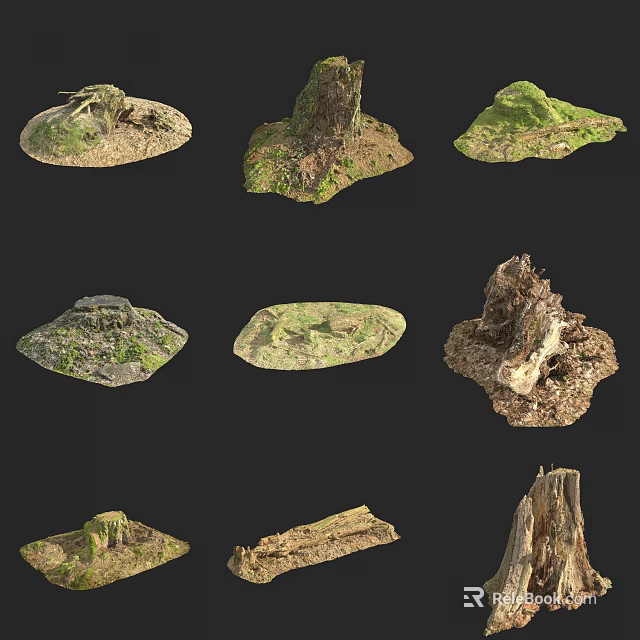 Various Shaped Arbor Stumps With Moss Covered Surfaces And Wooden Textures 3d model 