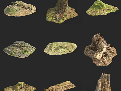 Various Shaped Arbor Stumps With Moss Covered Surfaces And Wooden Textures 3d model